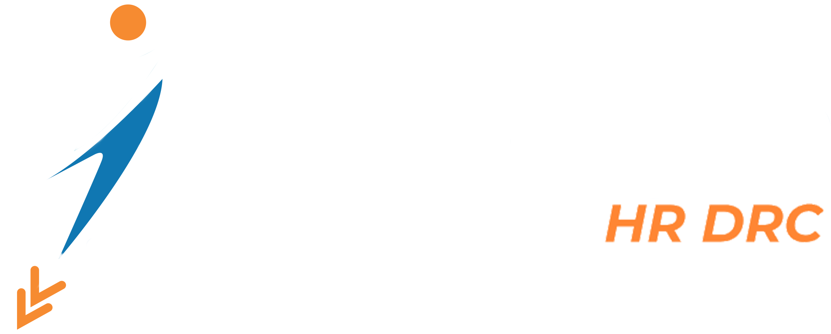 Footer Logo